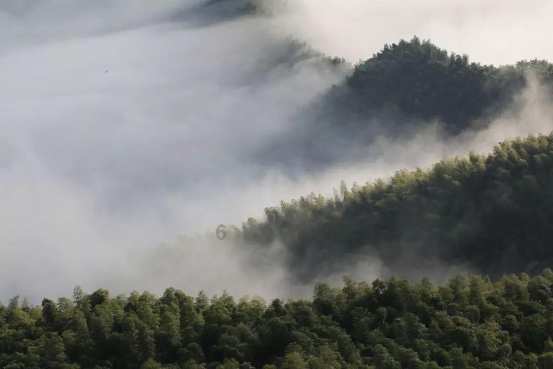 大数据报告：中国二手车流动性逐步增强 年末出现冲高行情
